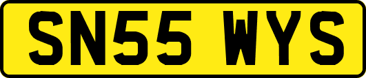 SN55WYS