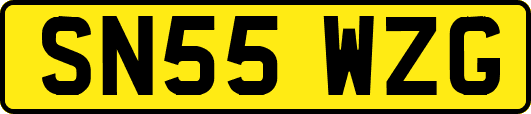 SN55WZG