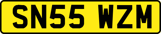 SN55WZM