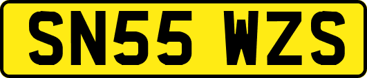 SN55WZS