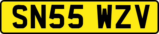 SN55WZV