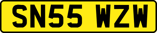 SN55WZW