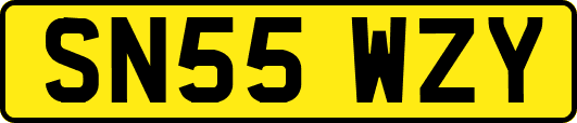 SN55WZY