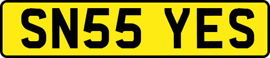 SN55YES
