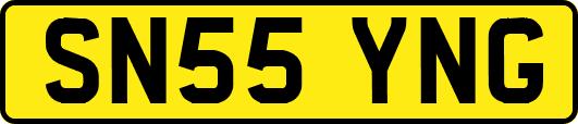 SN55YNG