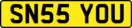 SN55YOU