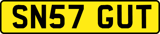 SN57GUT