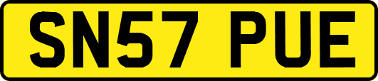 SN57PUE