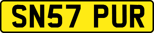 SN57PUR