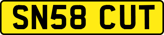 SN58CUT