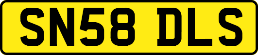 SN58DLS