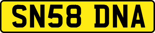 SN58DNA