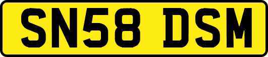 SN58DSM