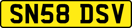 SN58DSV