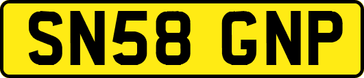 SN58GNP