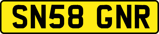 SN58GNR