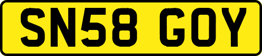 SN58GOY