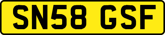 SN58GSF