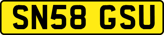 SN58GSU