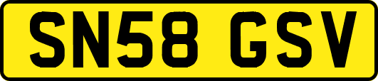 SN58GSV