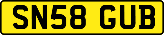 SN58GUB