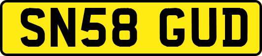 SN58GUD