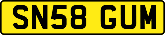 SN58GUM