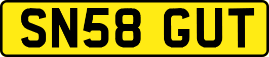 SN58GUT