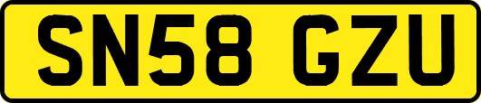 SN58GZU