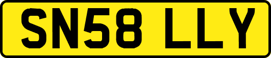 SN58LLY
