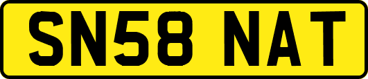 SN58NAT