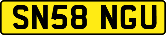 SN58NGU
