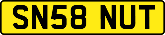SN58NUT