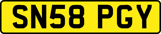 SN58PGY