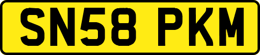 SN58PKM