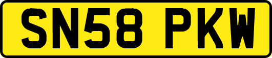 SN58PKW