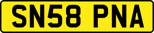 SN58PNA