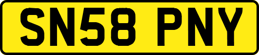 SN58PNY