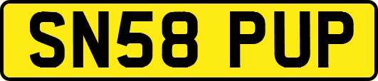 SN58PUP