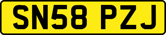 SN58PZJ
