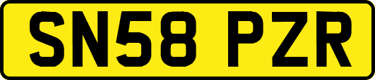 SN58PZR