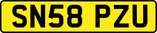 SN58PZU
