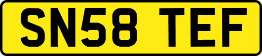 SN58TEF