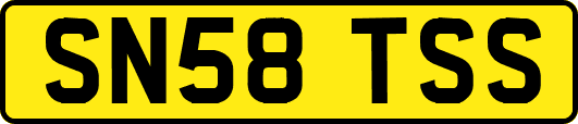 SN58TSS