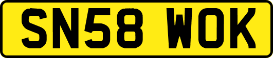 SN58WOK