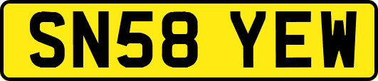 SN58YEW
