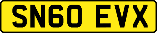 SN60EVX