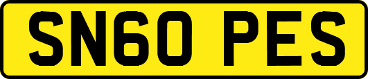 SN60PES