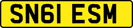 SN61ESM