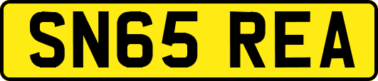 SN65REA